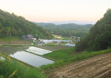 三田市北部の恵まれた自然の中で育った農作物