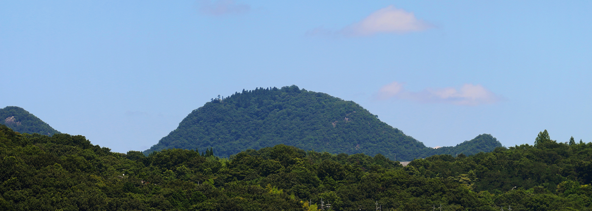 中上農園